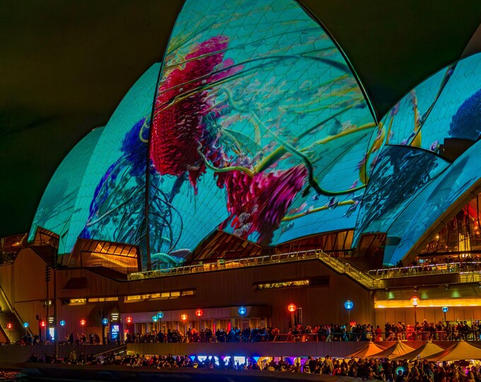 Illuminated Sydney Opera House Night Shot Photo Download, High Res Digital Art, Travel Gift and Wall Decor