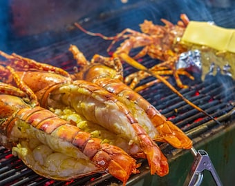 Pink Lobster BBQ, Sizzling Charcoal, Thailand Restaurant Scene Photo