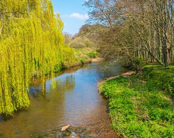 River Otter Photo: Devon Winter Landscape Art (Digital Download)