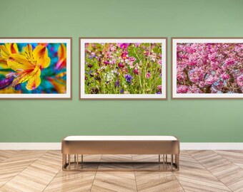 Floral Photography Print Set: Close-Up Flower Photos (Digital Download)