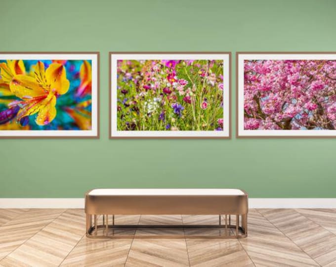 Floral Photography Print Set: Close-Up Flower Photos (Digital Download)