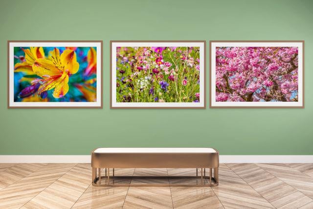 gallery photo