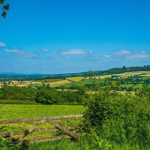 Devon Summer Landscape Photo: Countryside Wall Art (Digital Download)