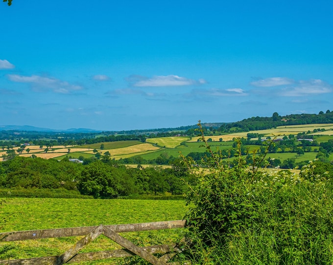 Stunning Summer Devon Landscape Photo Download, Home Decor Wall Art, Nature Lover Gift, Country Landscape View for her