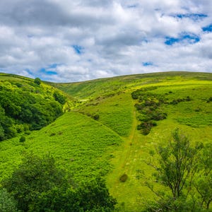 Dartmoor Photo Download – View from Meldon Viaduct – Green Devon Summer Scene