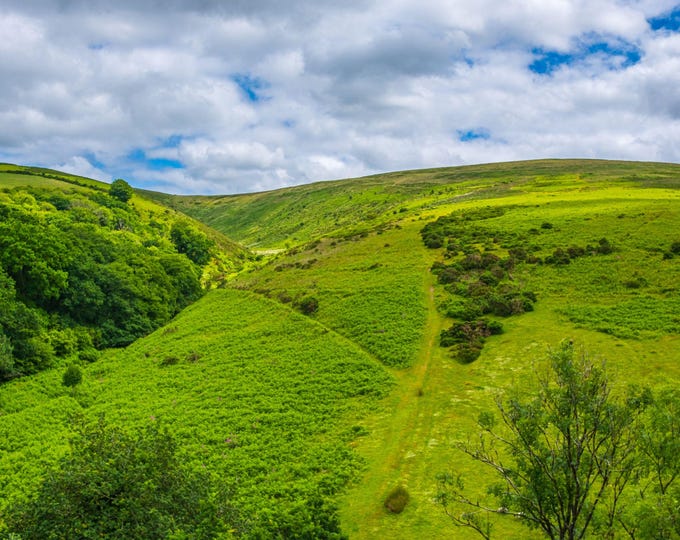 Dartmoor Photo Download – View from Meldon Viaduct – Green Devon Summer Scene