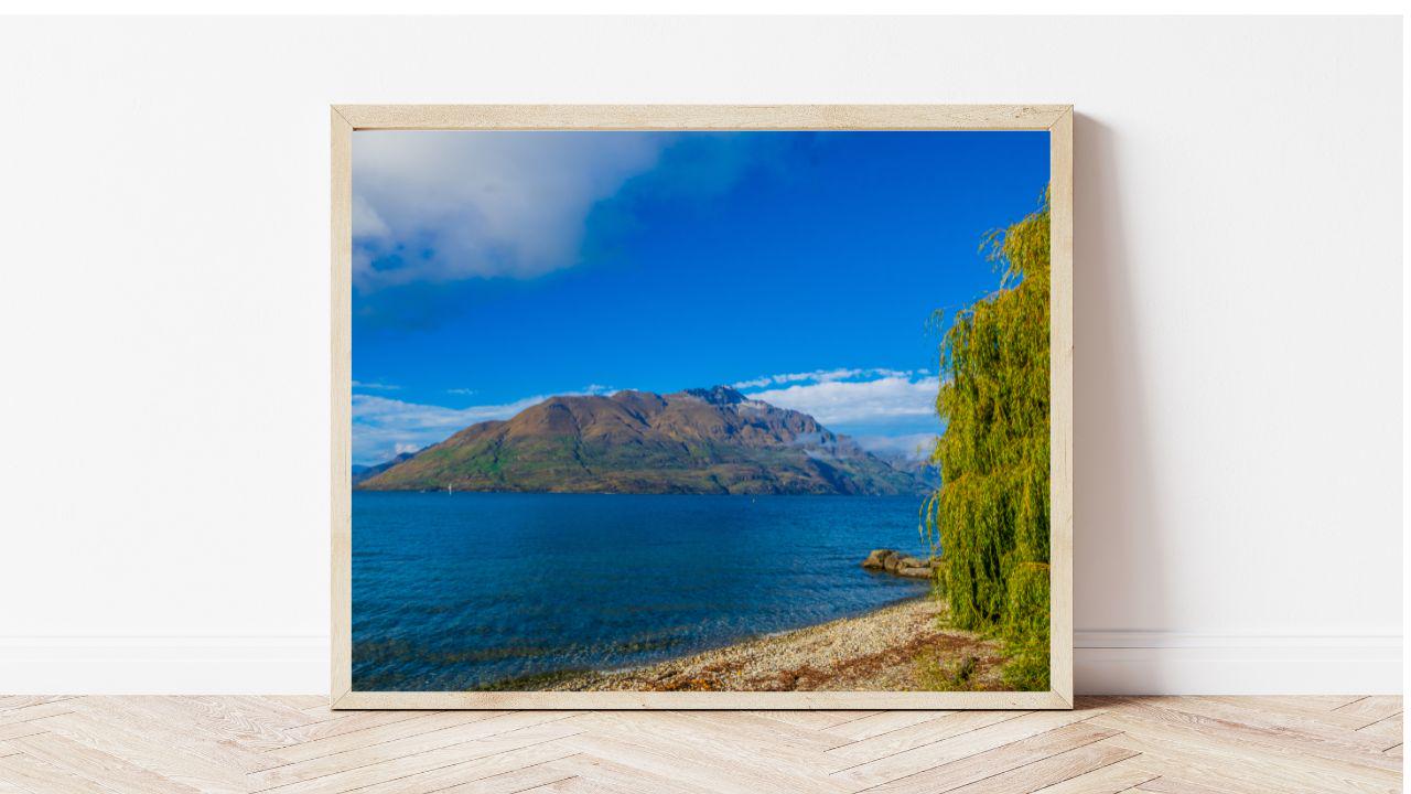 gallery photo