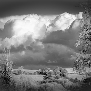 Peut inclure: Une photographie en noir et blanc d'un ciel orageux et dramatique avec des nuages ​​bouffants au-dessus d'un champ d'arbres et de buissons.