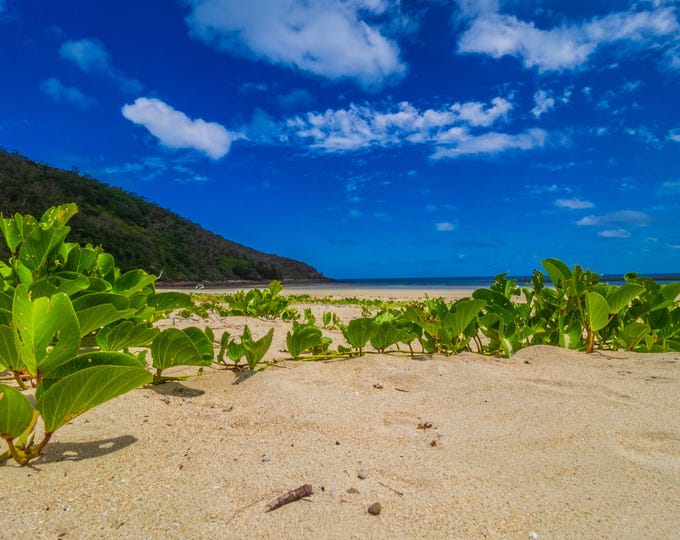Stunning Tropical Australian Beach Photo | Digital Download