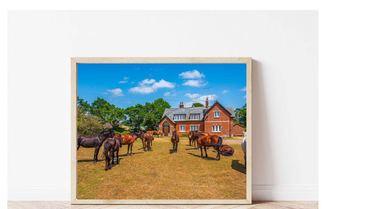 gallery photo