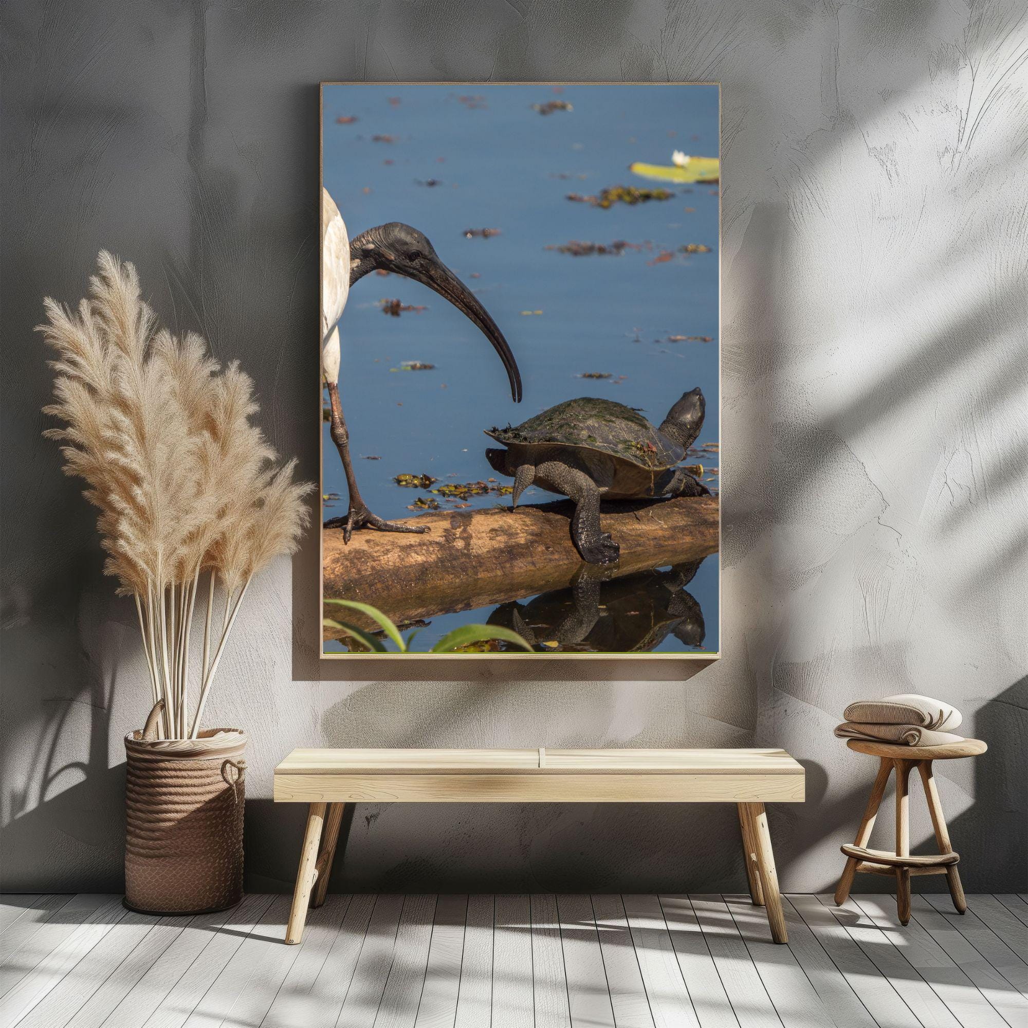 gallery photo