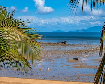 Australian Beach and Wrecked Boat, Palm Fronds View, Magnetic Island, Australia Photo