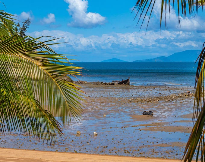Australian Beach and Wrecked Boat, Palm Fronds View, Magnetic Island, Australia Photo