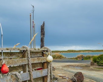 Dunedin New Zealand Coastal Photo: Ropes, Buoys, Pampas Grass (Digital Download)