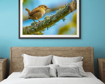 Wren Bird Photo Print: Devon England Wildlife Art (Digital Download)