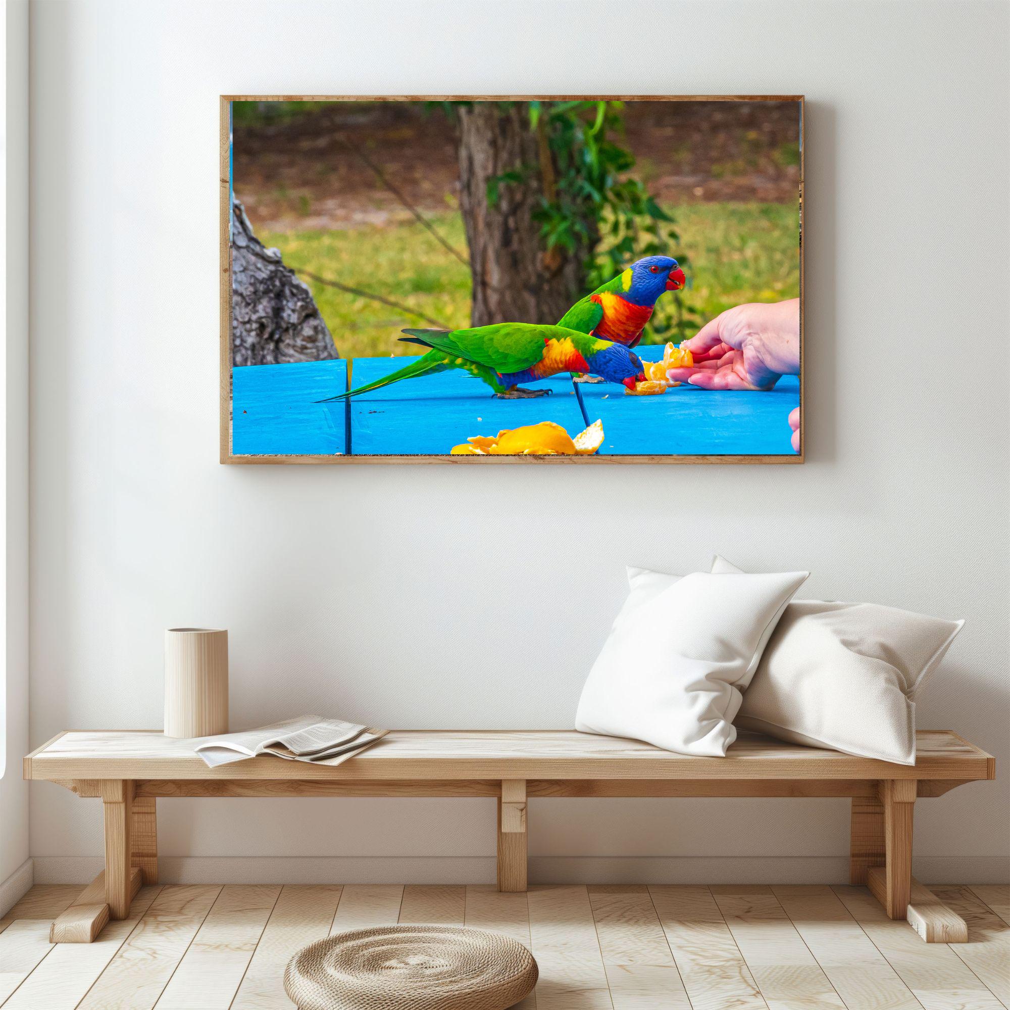 gallery photo