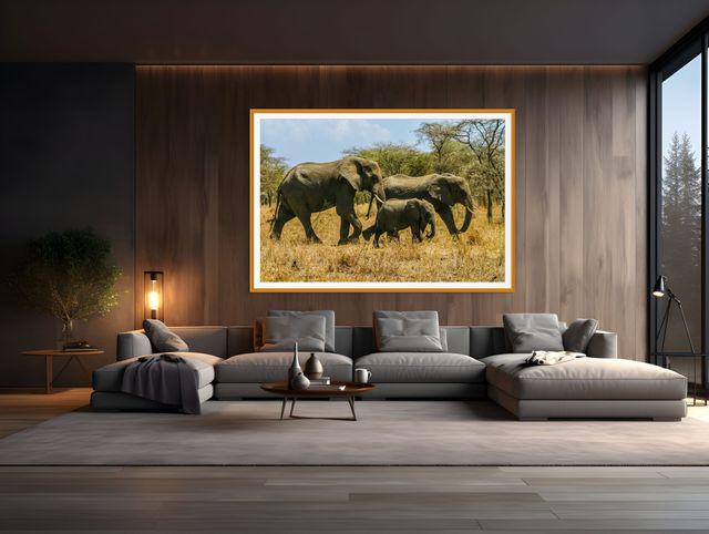 gallery photo