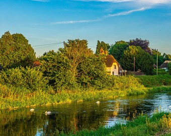 River Avon Sunset Photo: New Forest Swans Landscape (Digital Download)