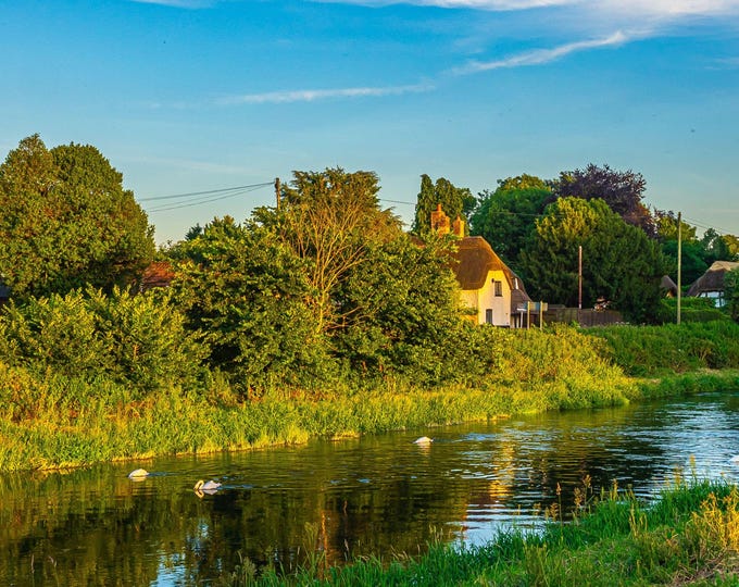 Serene River Sunset Photo Download – New Forest Avon, Golden Reflections, Aquatic Birds and Swans, Nature Lover Gift, Wall Art for Her