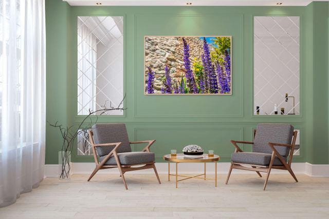 gallery photo