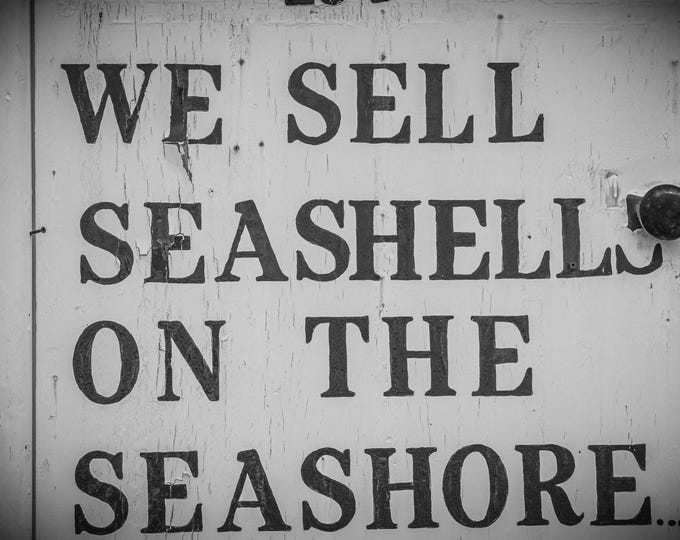 She Sells Sea Shells Sign Photo - Brighton Seafront - Black & White Print - Instant Download