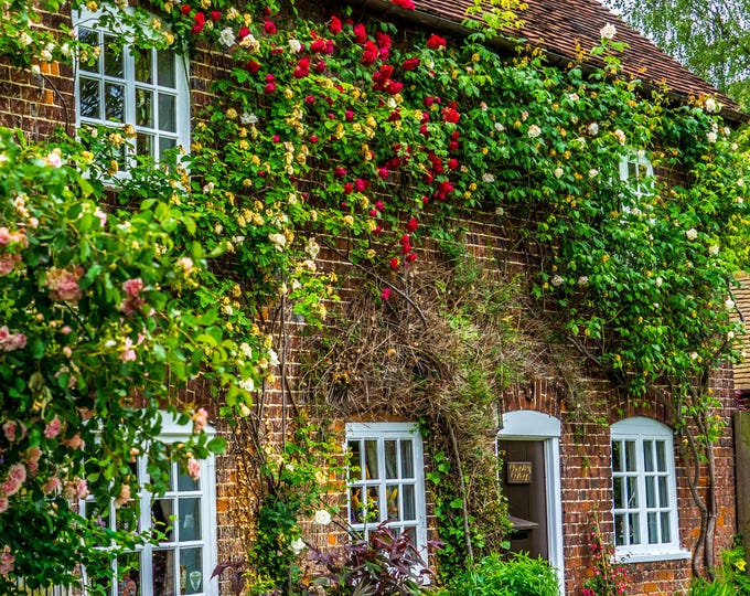 Sweet Ancient Cottage with Roses - Otford Kent Photo | Digital Download, Unique gift for Mom print, Cottage Decor High Res, Vintage England