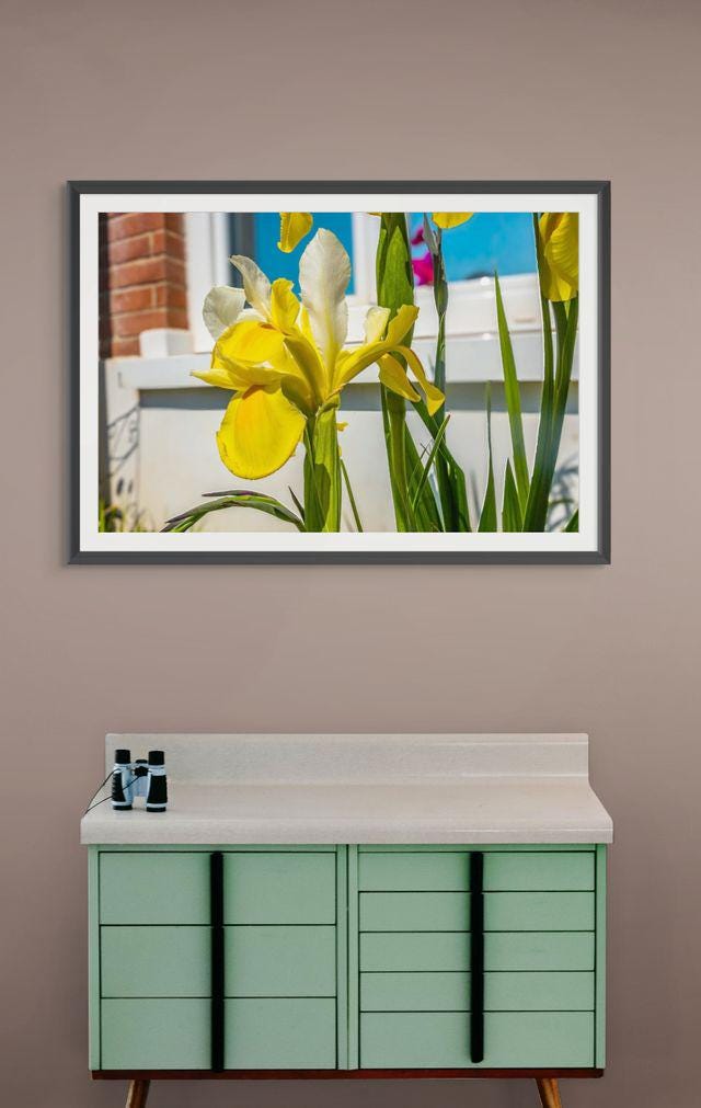 gallery photo