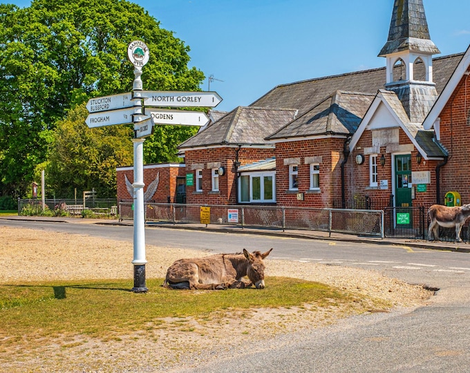 Victorian Schoolhouse and Donkey Photo Download – New Forest Vintage Architecture Wall Art Gift, Boho cottage wall art , gift print for her