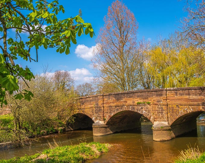 Ancient Bridge Otter Photo Download, Devon Countryside Wall Art, History Lover Gift, fine Art High Res Print
