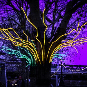 Puede incluir: Un árbol con ramas iluminadas con luces de neón amarillas y azules contra un cielo morado.
