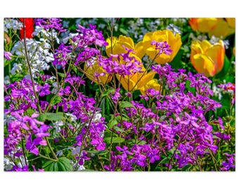 Floral Metal Print – Colourful Garden Wall Art