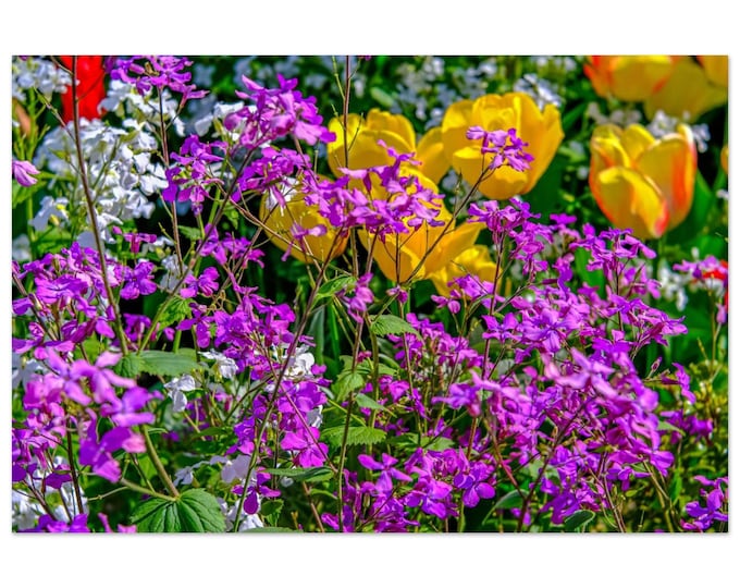 Floral Metal Print – Colourful Garden Wall Art