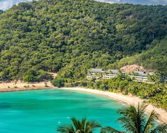 Tropical Beach Photo: Hamilton Island Palm Shoreline (Digital Download)