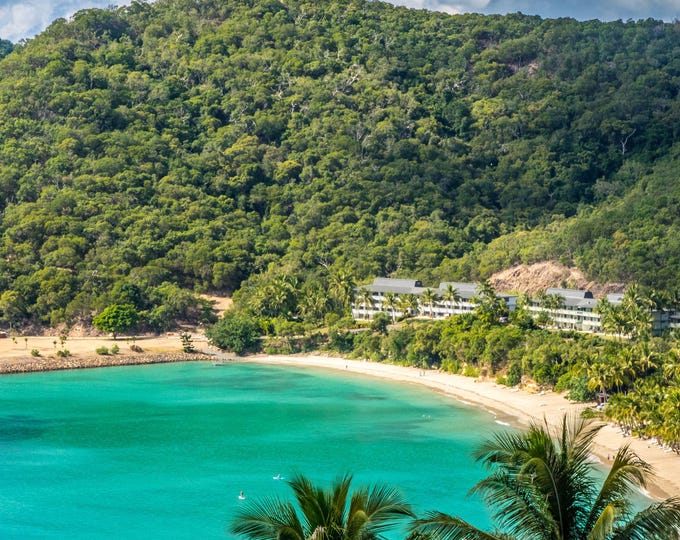 Tropical Beach Instant Download  Photo - Palm Fringed Shoreline Hamilton Island - Whitsundays Australia Landscape Travel Lover Gift