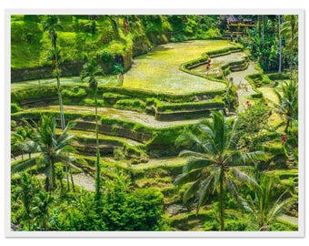 Bali Rice Terraces Framed Print – Green Landscape Wall Art, White Wooden Frame