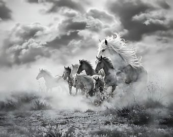 Wild Horse Herd Print: Black and White Fantasy Photography (Digital Download)