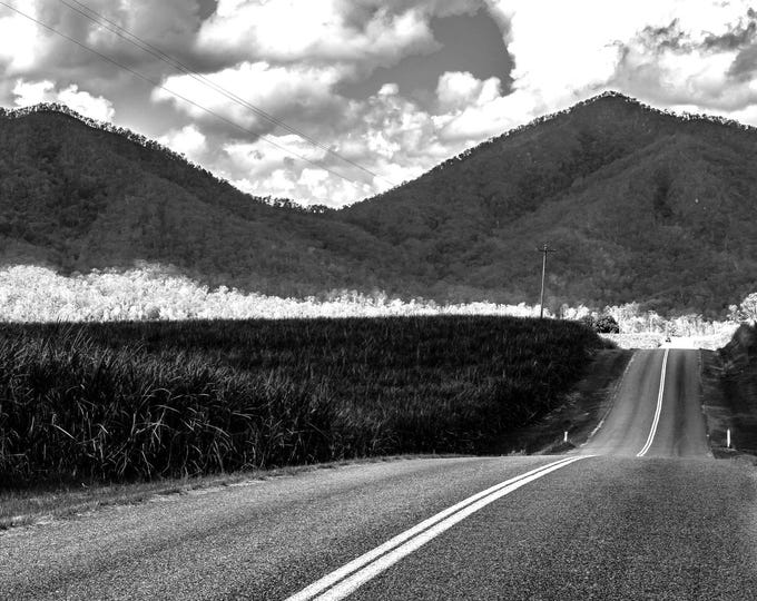 BW Photo Instant Download,  Road Through Sugar Cane Airlie Beach Queensland Australia, Travel Lover Fine Art High Res Gift,