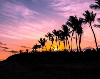 Airlie Beach Sunset Photo: Palm Tree Silhouette, QLD Australia (Digital Download)