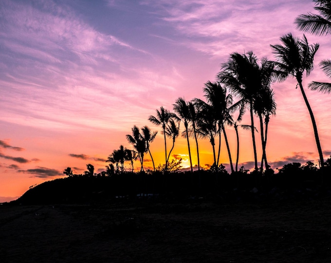 Photo Instant Download Stunning Sunset, Silhouette Palm Trees Australia Beach QLD, Sunset decor traveller gift High Res, Fine Art Print