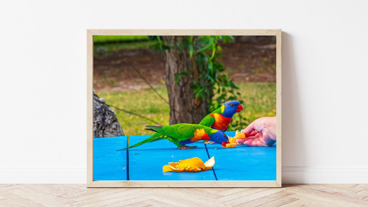 gallery photo