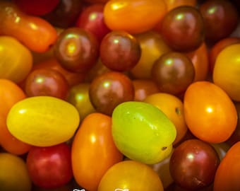 French Tomatoes Photo – Variety of Colors & Sizes – Cahors Market, France – Digital Download