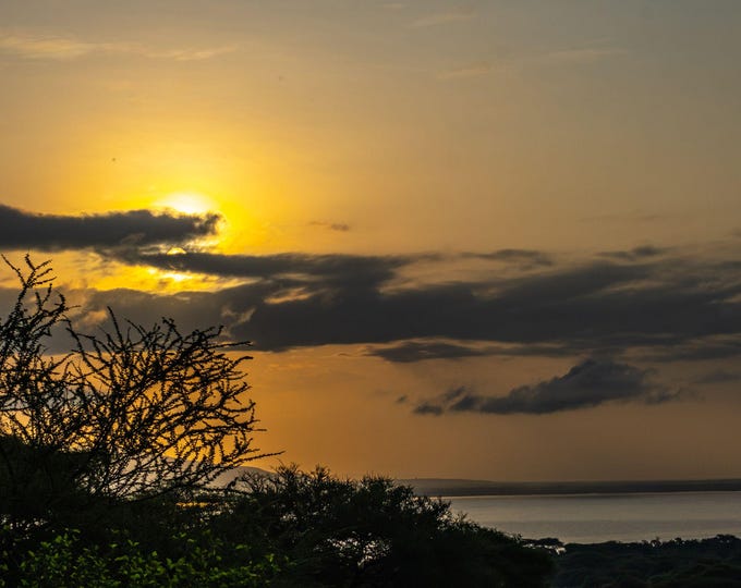 Photo instant download of Golden Sunset Over Serengeti Lake - East Africa Tanzania Photography - African Decor stunning high res fine art