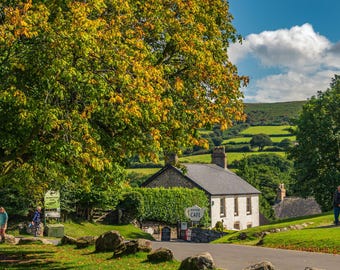 Dartmoor Autumn Landscape Photo: Autumn  Tree Print (Digital Download)