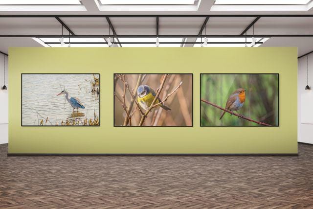 gallery photo
