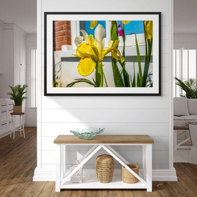 gallery photo