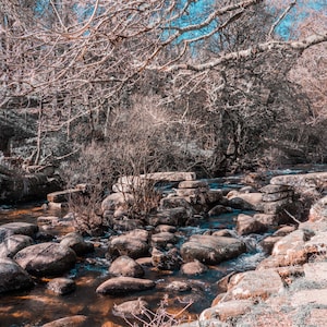 Könnte beinhalten: Ein felsiges Bachbett mit einer kleinen, natürlichen Steinbrücke. Der Bach fließt über die Steine und das Wasser ist klar und blau. Die Bäume im Hintergrund sind kahl und die Äste ragen in den Himmel.