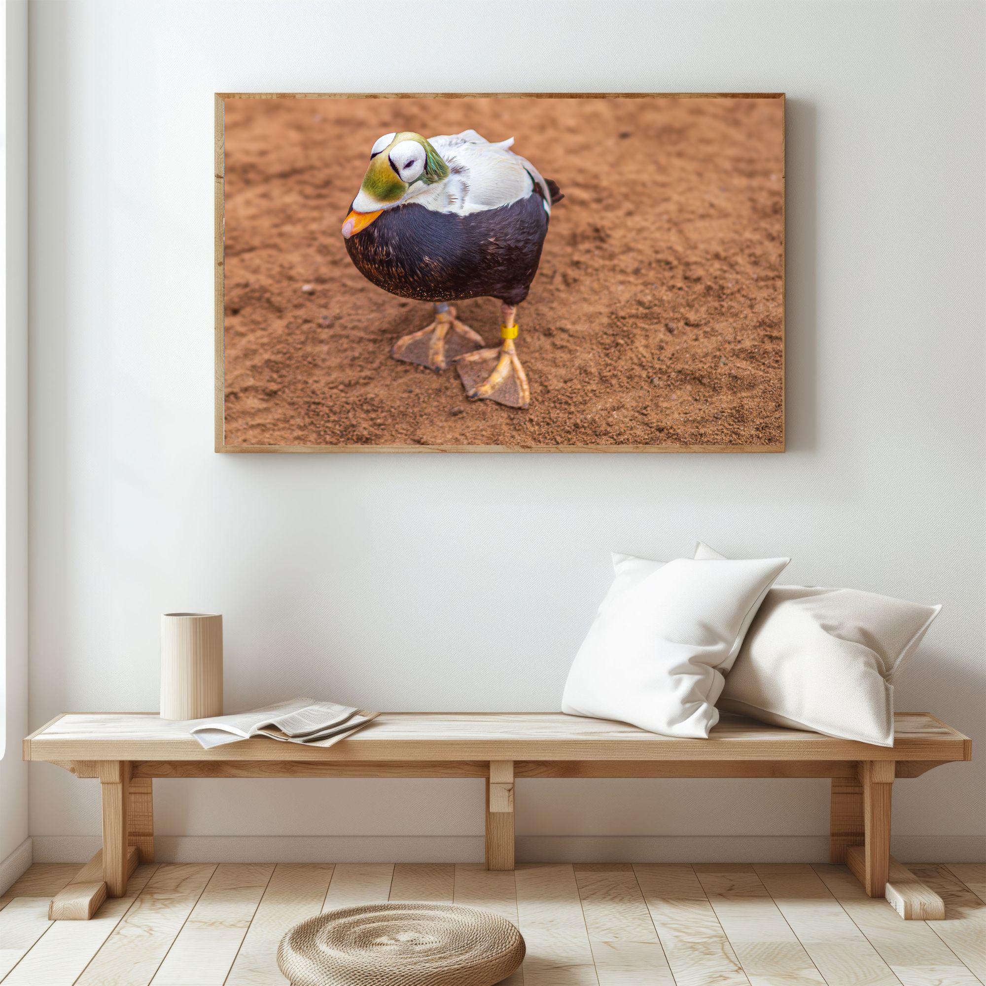 gallery photo