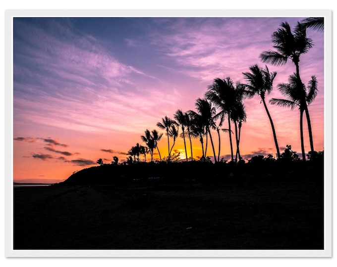 Australia Tropical Sunset Palm Trees Framed Wall Art