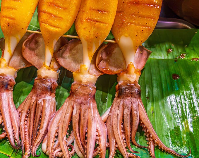 Instant Download Photo Vibrant Vietnam Market Photo of Fresh Squid for Instant Download - Culinary Artistry for Home Decor and Gifts