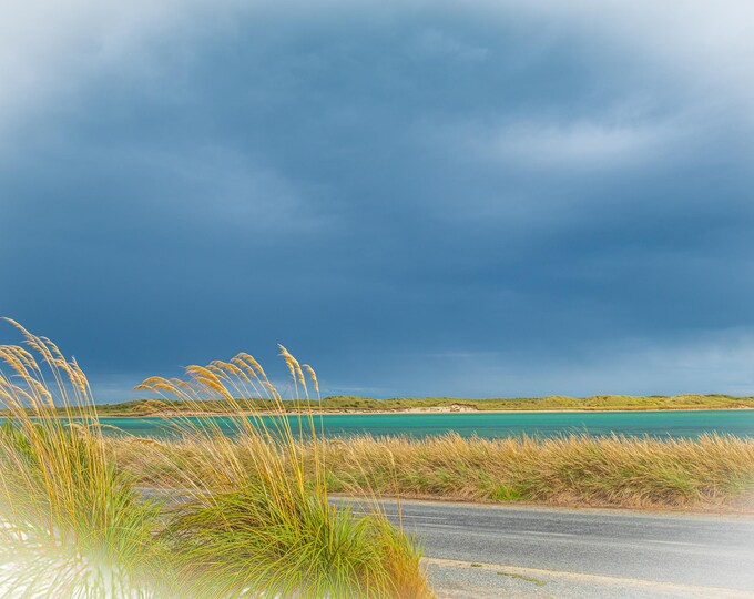 Moody Pampas Grass by Azure Estuary, New Zealand - Dramatic Landscape Photography Download"